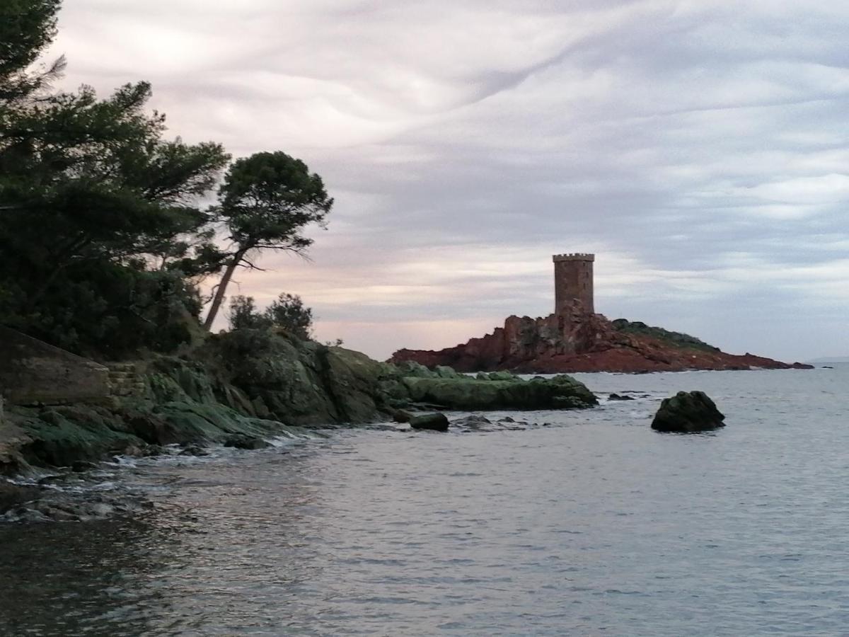 Voilier De Charme A Quai Otel Saint-Raphaël Dış mekan fotoğraf